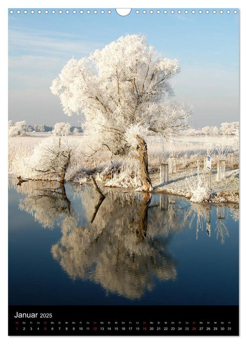 Land Brandenburg im Wechsel der Jahreszeiten (CALVENDO Wandkalender 2025)