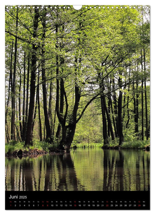 Land Brandenburg im Wechsel der Jahreszeiten (CALVENDO Wandkalender 2025)