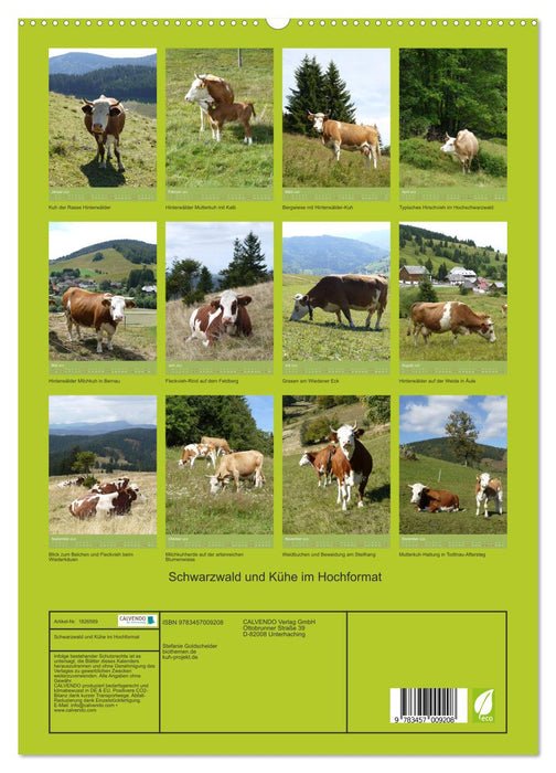 Schwarzwald und Kühe im Hochformat (CALVENDO Premium Wandkalender 2025)