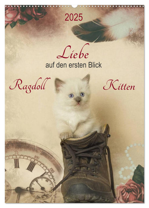 Liebe auf den ersten Blick . Ragdoll Kitten (CALVENDO Wandkalender 2025)