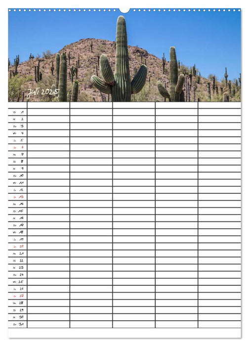 USA Facettenreicher Südwesten / Familienplaner (CALVENDO Premium Wandkalender 2025)