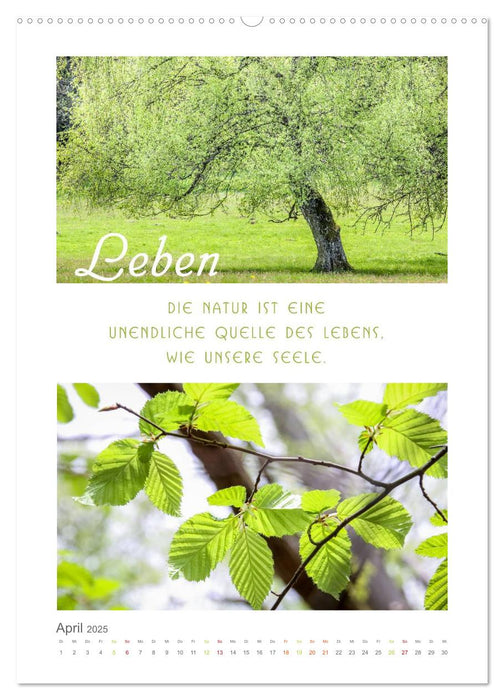 Quellen der Inspiration (CALVENDO Premium Wandkalender 2025)