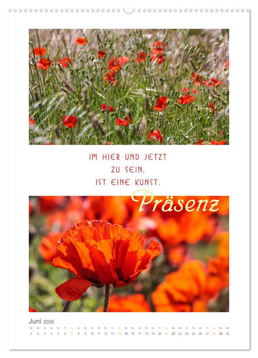 Quellen der Inspiration (CALVENDO Premium Wandkalender 2025)