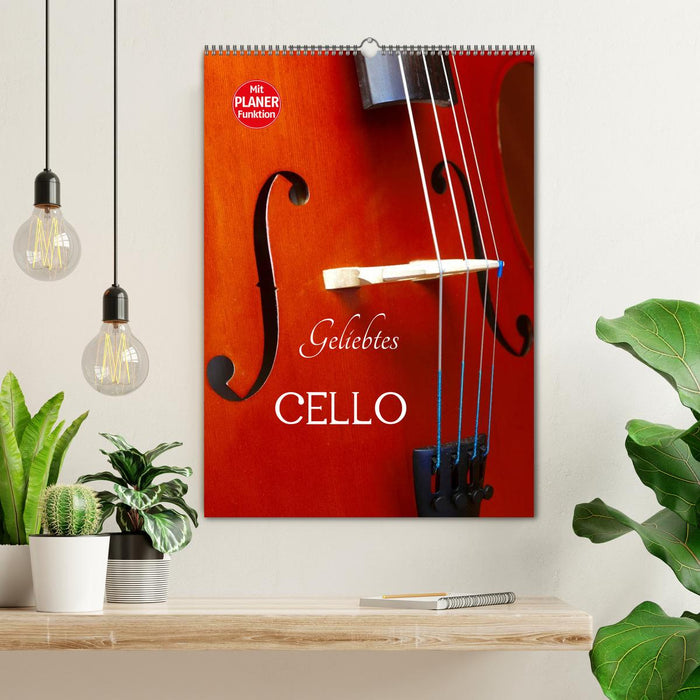 Geliebtes Cello (CALVENDO Wandkalender 2025)