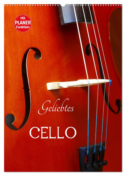 Geliebtes Cello (CALVENDO Wandkalender 2025)