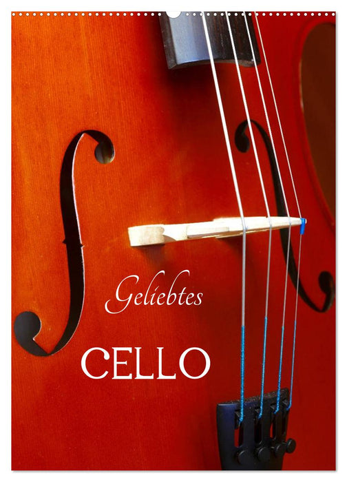 Geliebtes Cello (CALVENDO Wandkalender 2025)