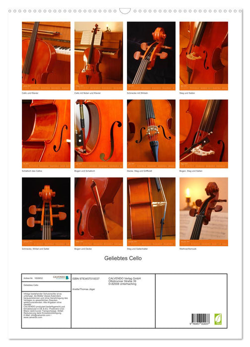 Geliebtes Cello (CALVENDO Wandkalender 2025)