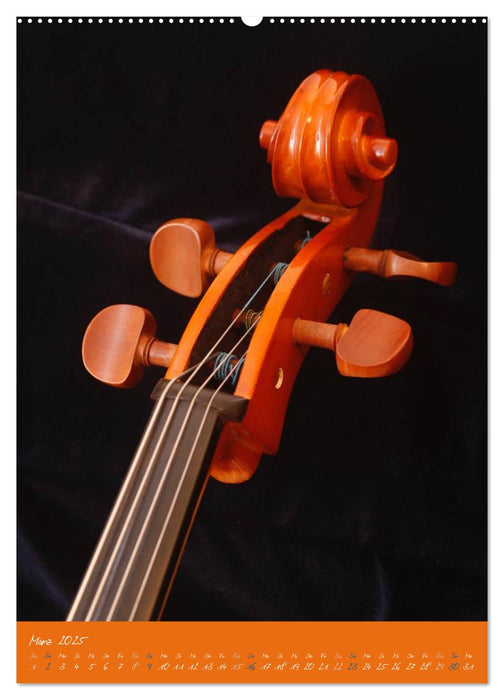 Geliebtes Cello (CALVENDO Wandkalender 2025)