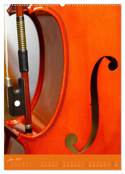 Geliebtes Cello (CALVENDO Wandkalender 2025)