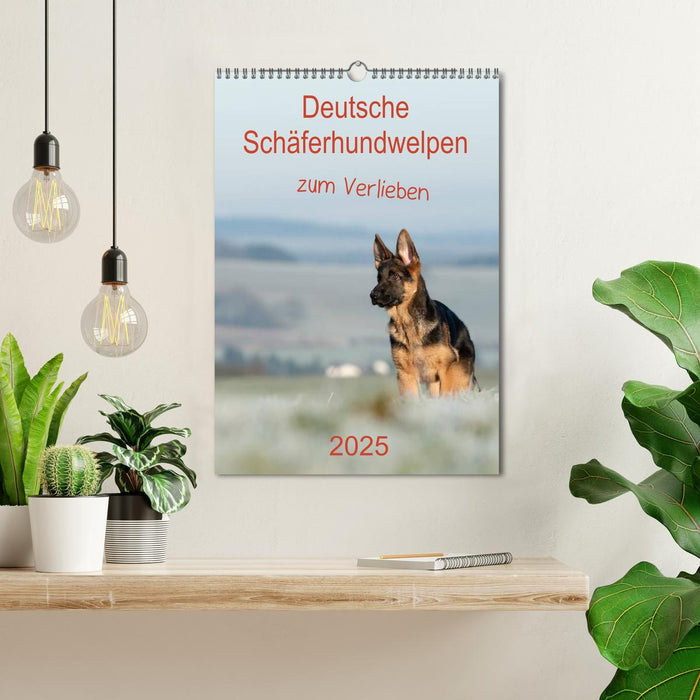 Deutsche Schäferhundwelpen zum Verlieben (CALVENDO Wandkalender 2025)