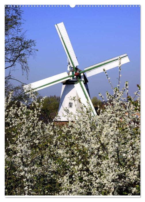 Windmühlen in Norddeutschland (CALVENDO Premium Wandkalender 2025)