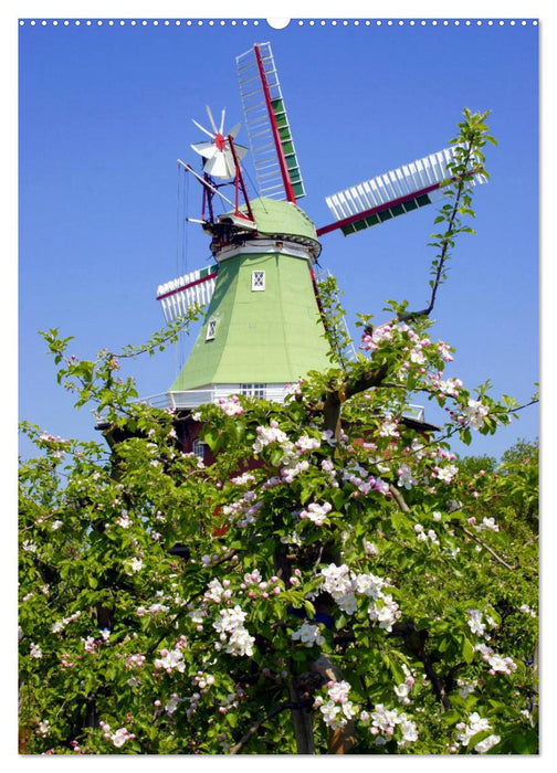 Windmühlen in Norddeutschland (CALVENDO Premium Wandkalender 2025)