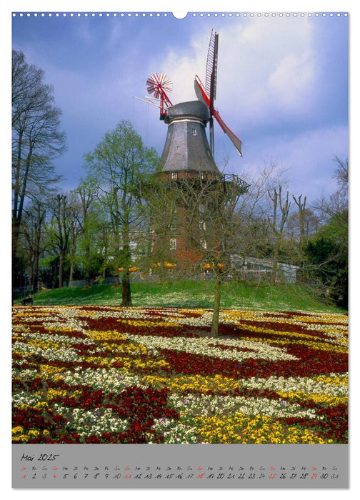 Windmühlen in Norddeutschland (CALVENDO Premium Wandkalender 2025)