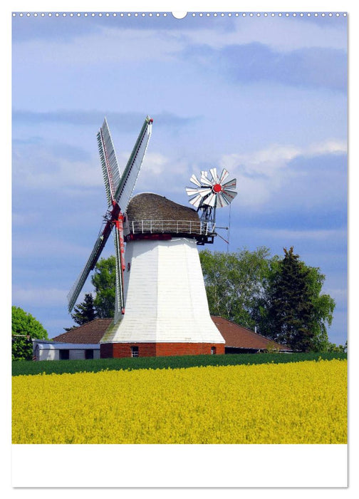 Windmühlen in Norddeutschland (CALVENDO Premium Wandkalender 2025)