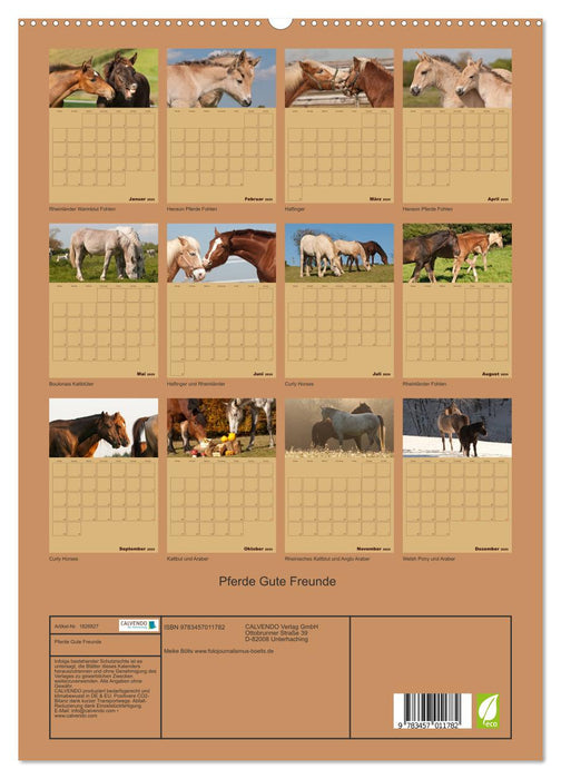 Pferde Gute Freunde (CALVENDO Premium Wandkalender 2025)