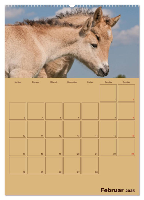 Pferde Gute Freunde (CALVENDO Premium Wandkalender 2025)