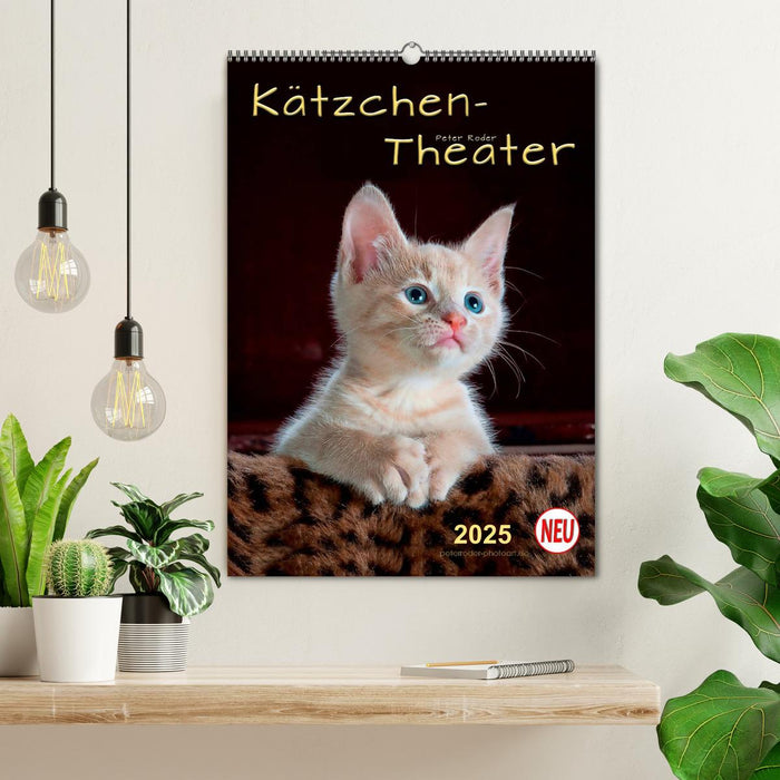 Kätzchen - Theater (CALVENDO Wandkalender 2025)