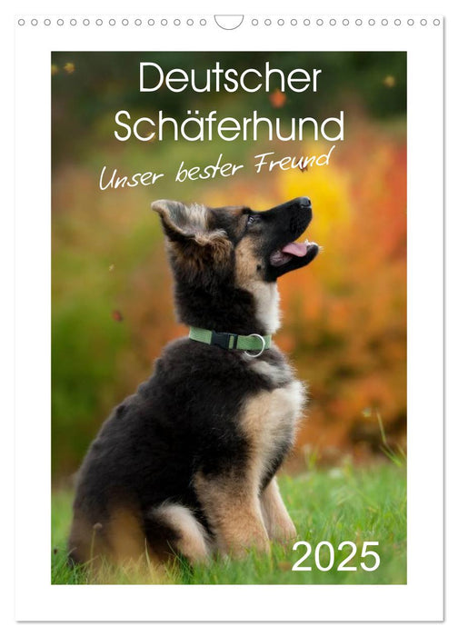Deutscher Schäferhund - unser bester Freund (CALVENDO Wandkalender 2025)