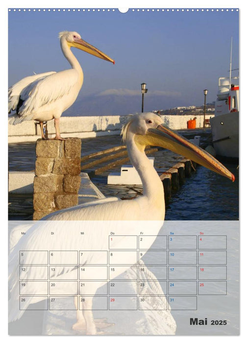 Griechisches Allerlei (CALVENDO Wandkalender 2025)