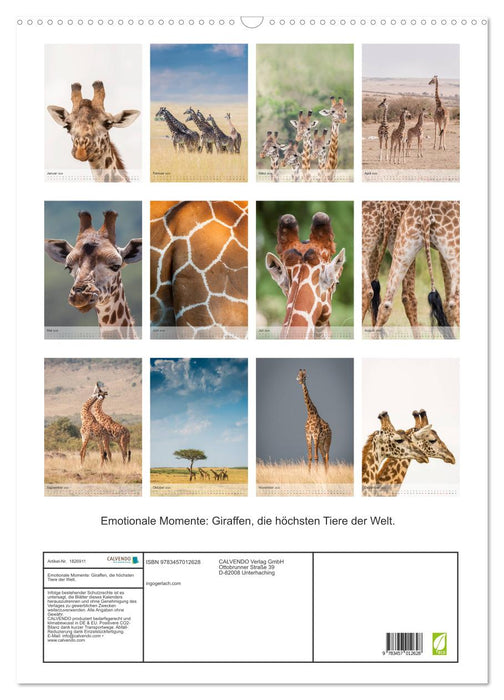 Emotionale Momente: Giraffen, die höchsten Tiere der Welt. (CALVENDO Wandkalender 2025)