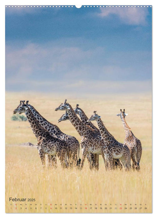 Emotionale Momente: Giraffen, die höchsten Tiere der Welt. (CALVENDO Wandkalender 2025)