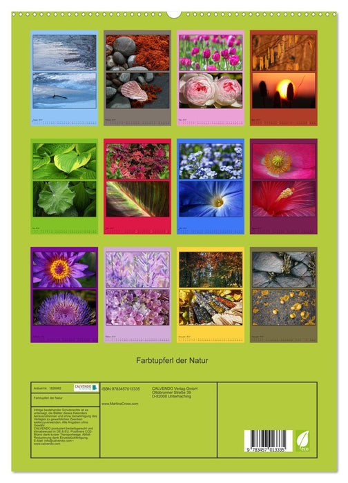 Farbtupferl der Natur (CALVENDO Premium Wandkalender 2025)