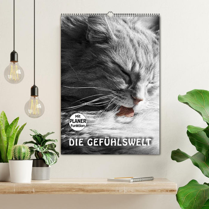 DIE GEFÜHLSWELT (CALVENDO Wandkalender 2025)