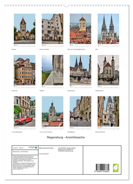 Regensburg - Ansichtssache (CALVENDO Premium Wandkalender 2025)