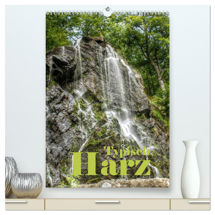 Typisch Harz (CALVENDO Premium Wandkalender 2025)