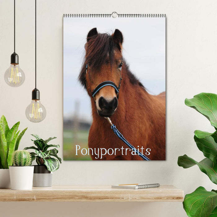 Wandkalender Ponyportraits (CALVENDO Wandkalender 2025)