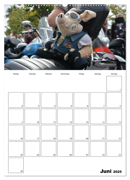 Harley Davidson Familienplaner (CALVENDO Wandkalender 2025)