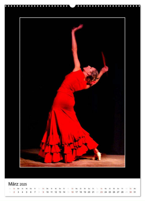 La Luz Flamenco (CALVENDO Premium Wandkalender 2025)