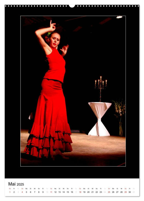 La Luz Flamenco (CALVENDO Premium Wandkalender 2025)