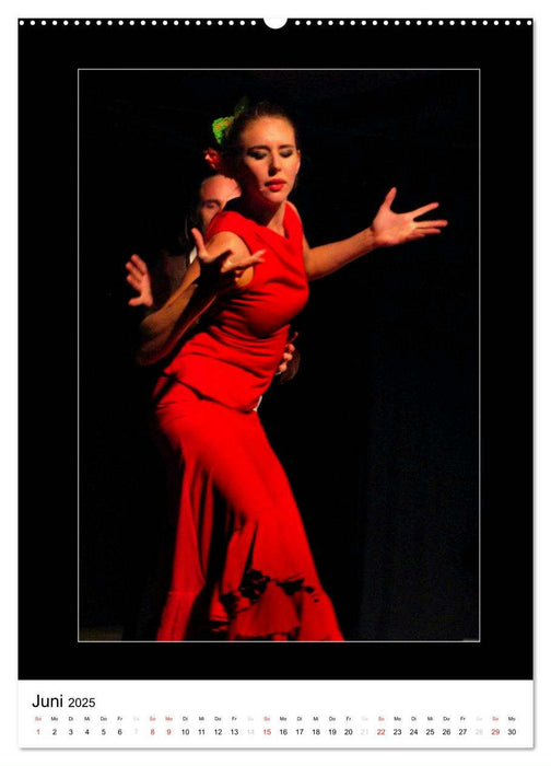 La Luz Flamenco (CALVENDO Premium Wandkalender 2025)