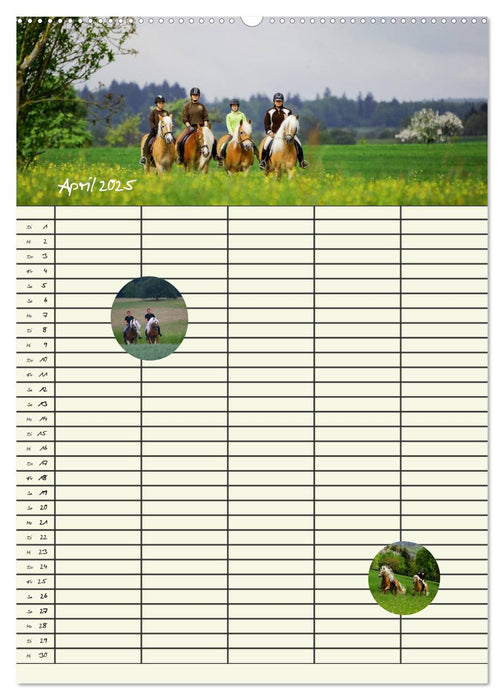 Haflinger Pferde - Stall- und Familienplaner 2025 (CALVENDO Wandkalender 2025)