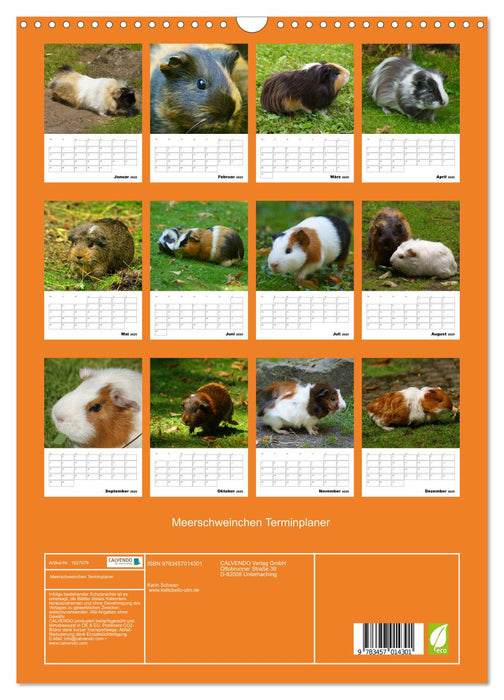 Meerschweinchen Terminplaner (CALVENDO Wandkalender 2025)