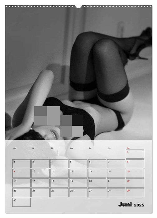 Erotisches Erlebnis. Sexy und heiß (CALVENDO Premium Wandkalender 2025)