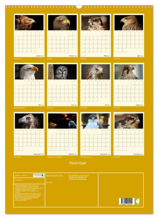 Raubvögel (CALVENDO Wandkalender 2025)