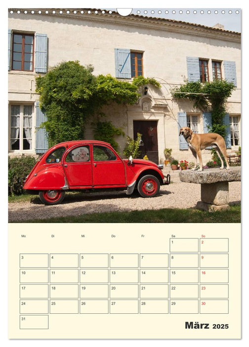 Citroën 2CV - Lebensart Ente (CALVENDO Wandkalender 2025)