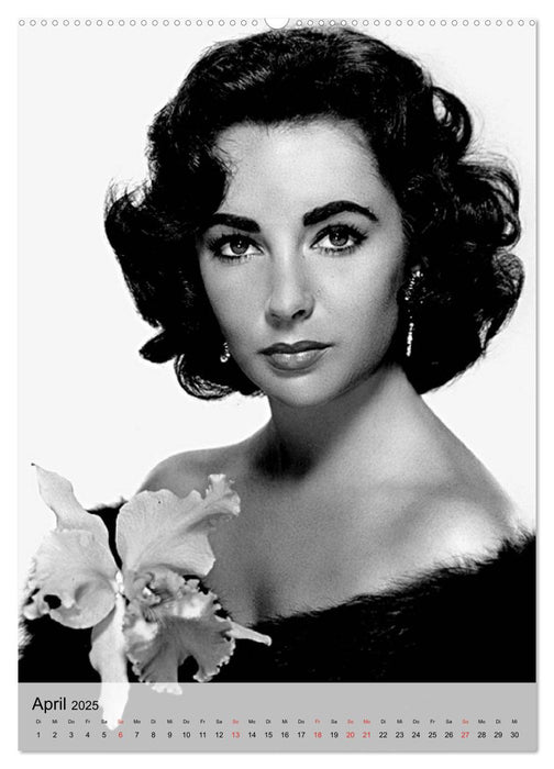 Elizabeth Taylor (CALVENDO Premium Wandkalender 2025)