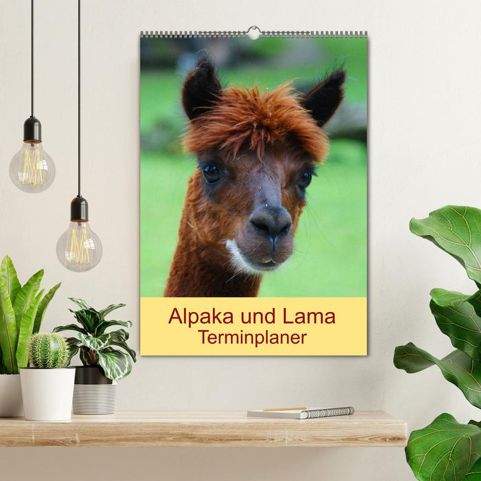 Alpaka und Lama Terminplaner (CALVENDO Wandkalender 2025)