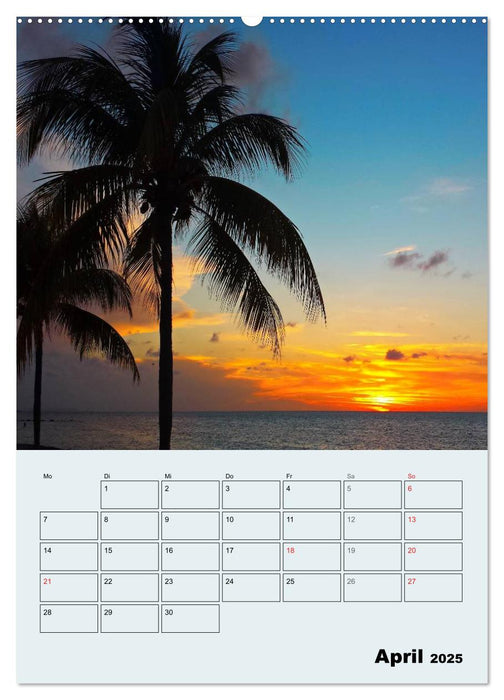 Kuba Impressionen Playa Guardalavaca und Playa Esmeralda (CALVENDO Premium Wandkalender 2025)