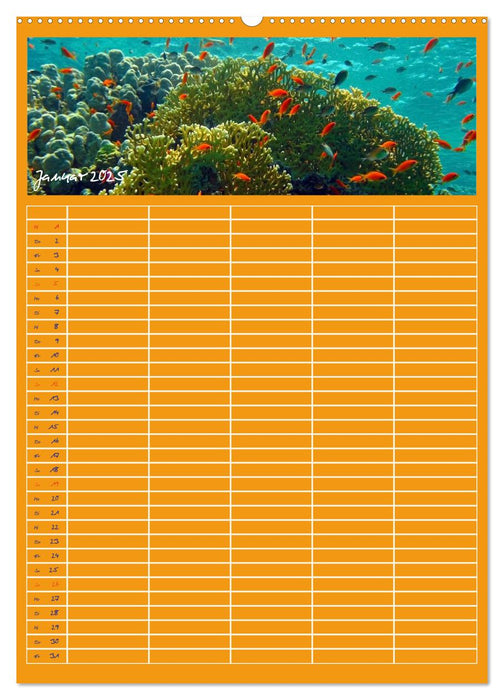 Blubb ... Der Unterwasser Familienplaner (CALVENDO Premium Wandkalender 2025)