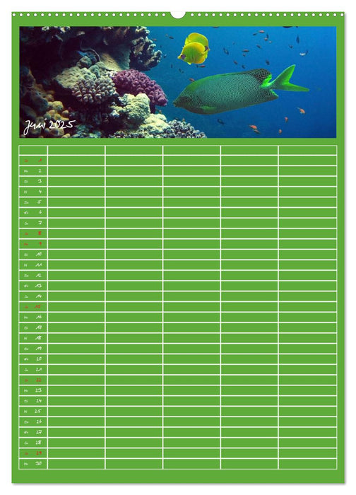 Blubb ... Der Unterwasser Familienplaner (CALVENDO Premium Wandkalender 2025)