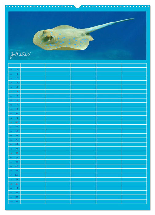 Blubb ... Der Unterwasser Familienplaner (CALVENDO Premium Wandkalender 2025)