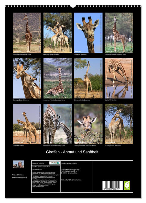 Giraffen - Anmut und Sanftheit (CALVENDO Premium Wandkalender 2025)