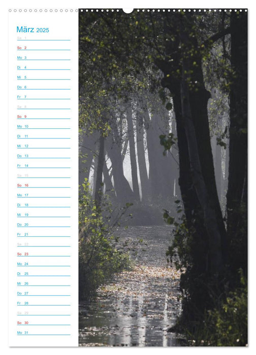 Wunderbarer Spreewald (CALVENDO Wandkalender 2025)