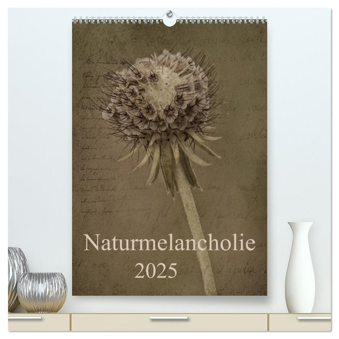 Naturmelancholie 2025 (CALVENDO Premium Wandkalender 2025)