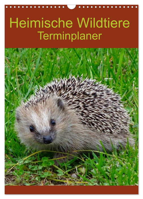 Heimische Wildtiere Terminplaner (CALVENDO Wandkalender 2025)