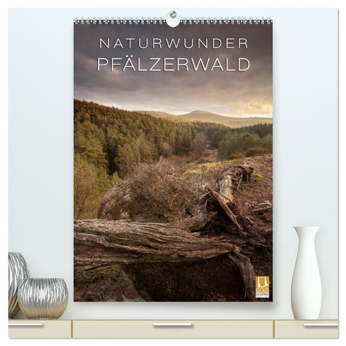 NATURWUNDER PFÄLZERWALD (CALVENDO Premium Wandkalender 2025)